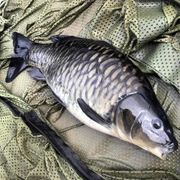 Fishing 4